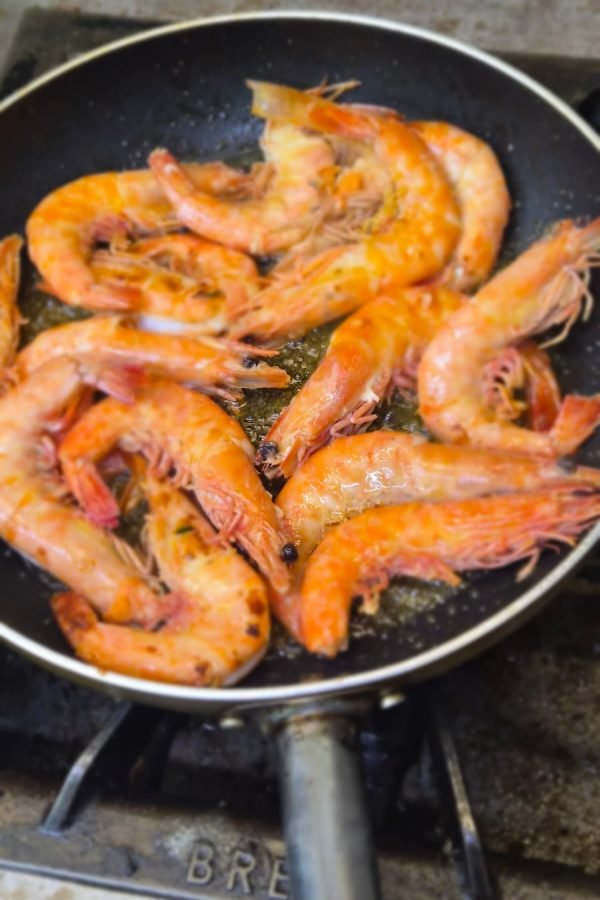 WhatsApp Image 2025-11-14 at 15.10.23 (1)