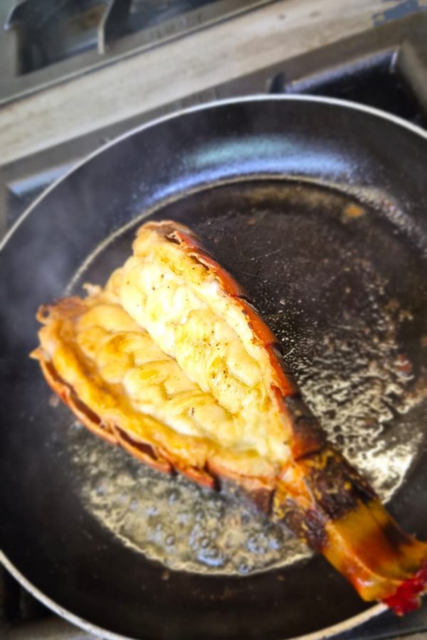 WhatsApp Image 2025-11-14 at 15.10.25