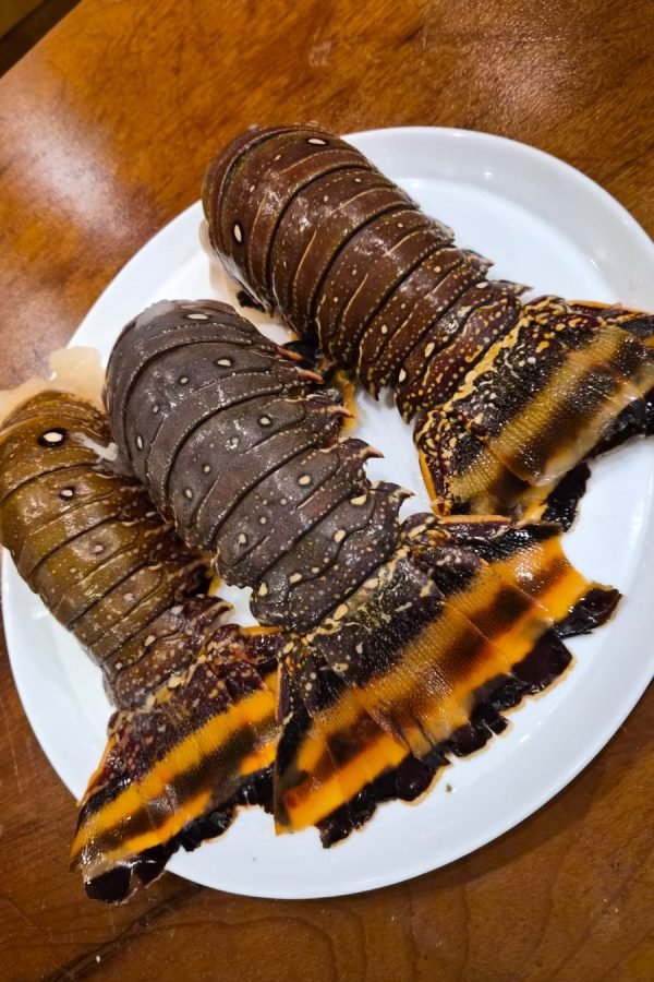 WhatsApp Image 2025-11-14 at 15.10.26 (1)