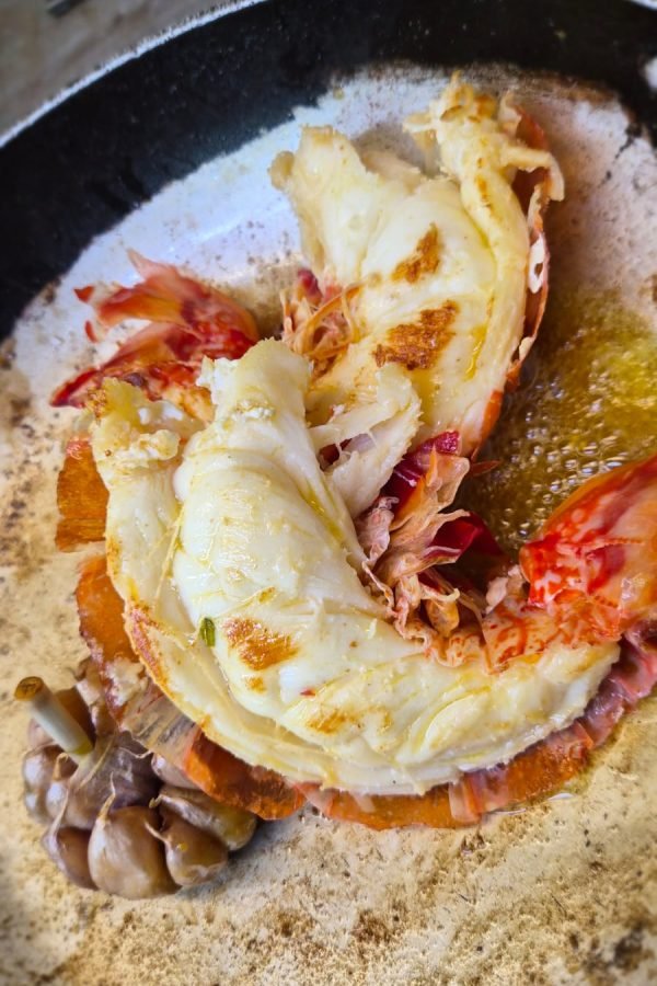 WhatsApp Image 2025-11-14 at 15.10.26