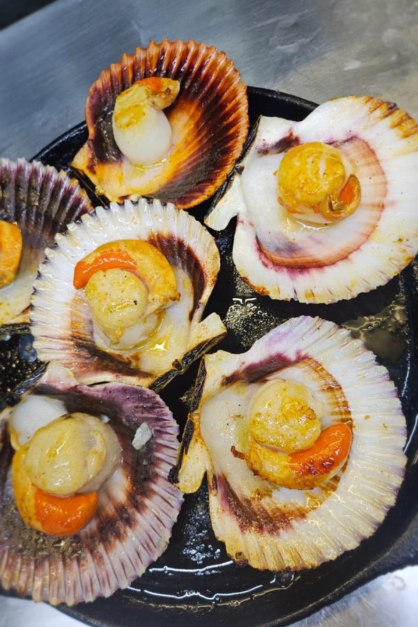 WhatsApp Image 2025-11-14 at 15.10.28 (2)