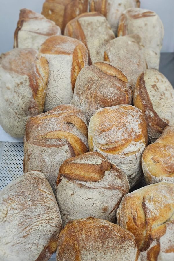 WhatsApp Image 2025-11-14 at 15.10.28 (3)